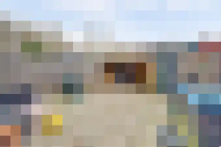 Jan van Eyckpad 8 Spijkenisse thumbnail 22