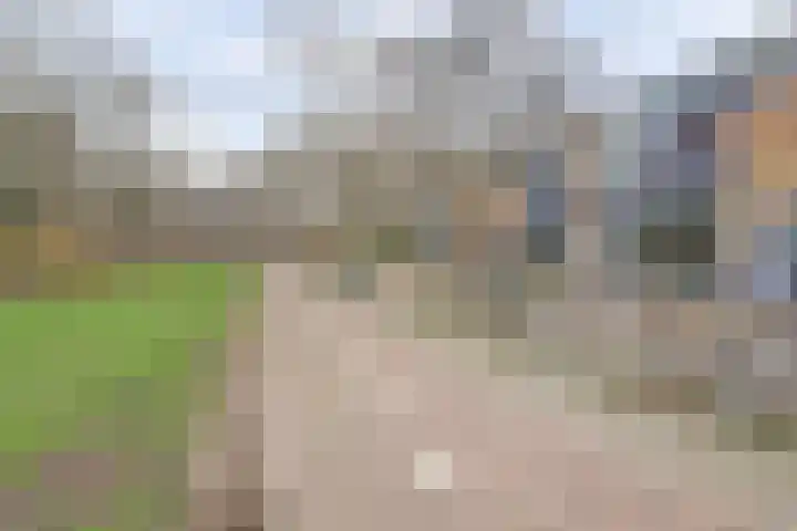 Jan van Eyckpad 8 Spijkenisse thumbnail 23