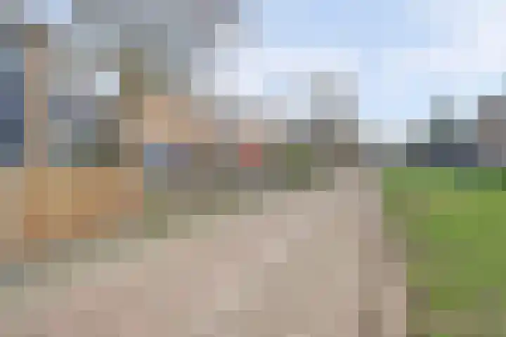 Jan van Eyckpad 8 Spijkenisse thumbnail 24