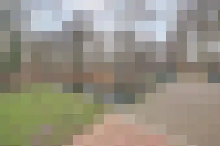 Jan van Eyckpad 8 Spijkenisse thumbnail 25