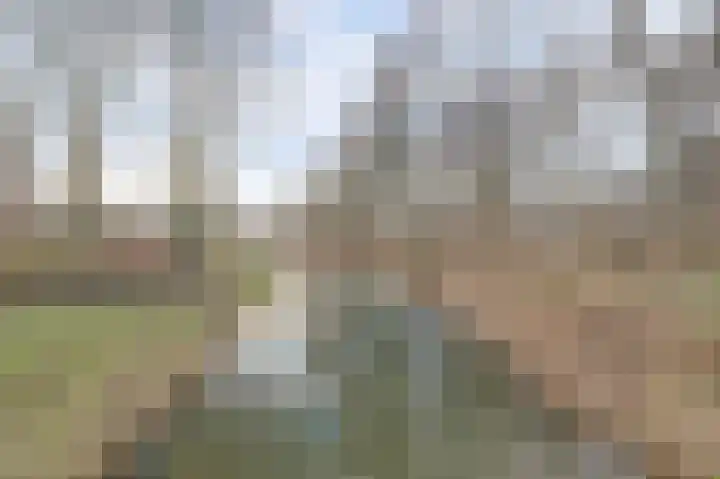 Jan van Eyckpad 8 Spijkenisse thumbnail 26