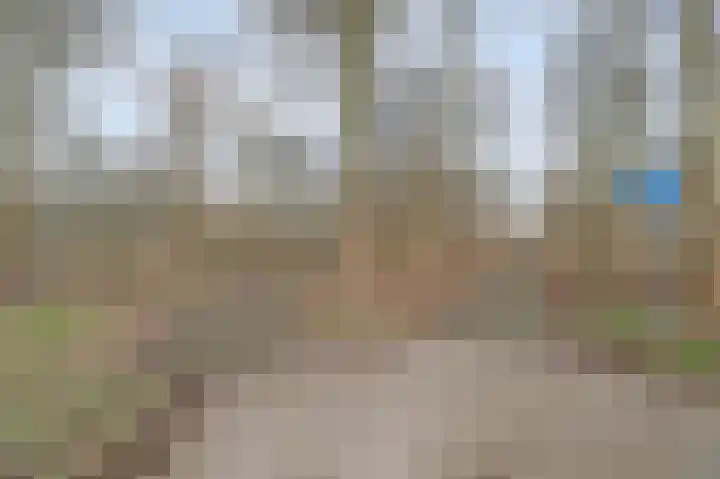 Jan van Eyckpad 8 Spijkenisse thumbnail 27