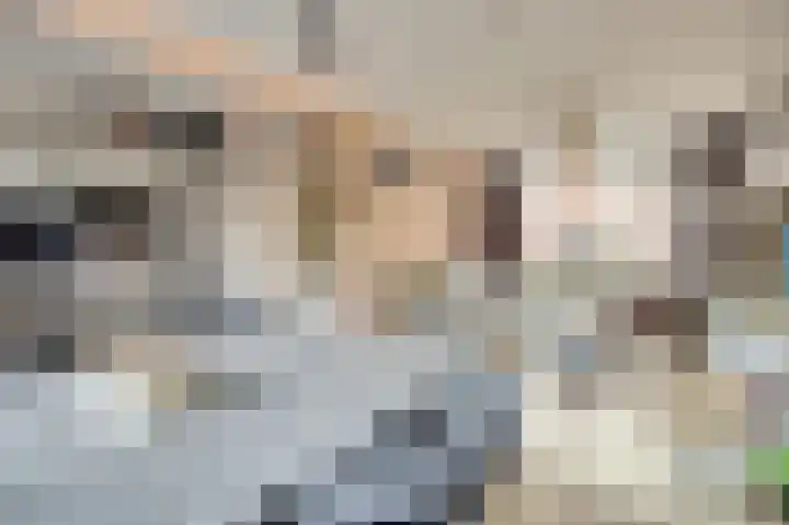 Jan van Eyckpad 8 Spijkenisse thumbnail 4