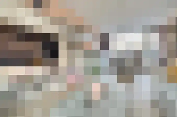 Jan van Eyckpad 8 Spijkenisse thumbnail 5