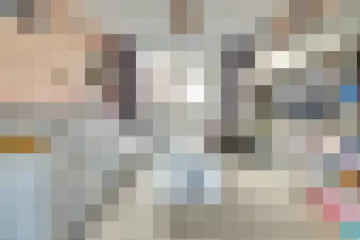 Jan van Eyckpad 8 Spijkenisse thumbnail 7