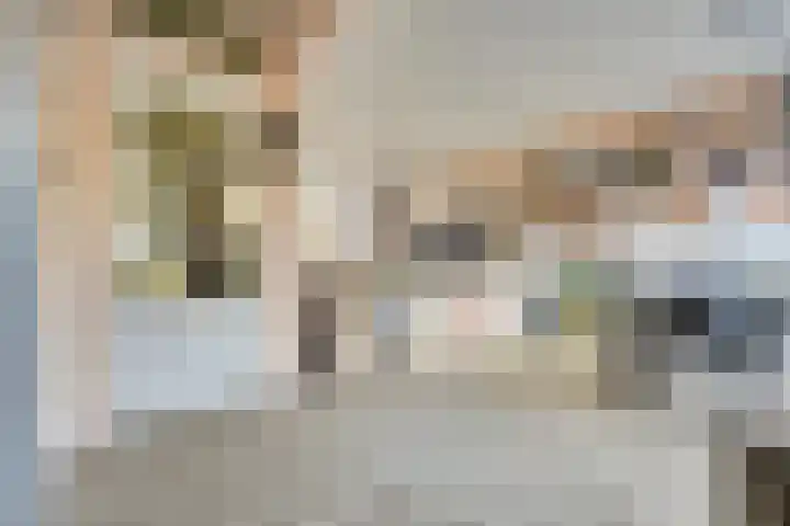 Jan van Eyckpad 8 Spijkenisse thumbnail 8