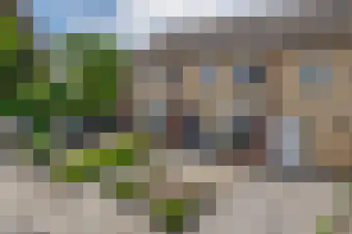 Jan van Eyckstraat 14 Kaatsheuvel thumbnail 5
