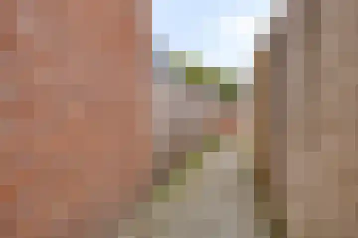 Jan van Eyckstraat 2 Kaatsheuvel thumbnail 27