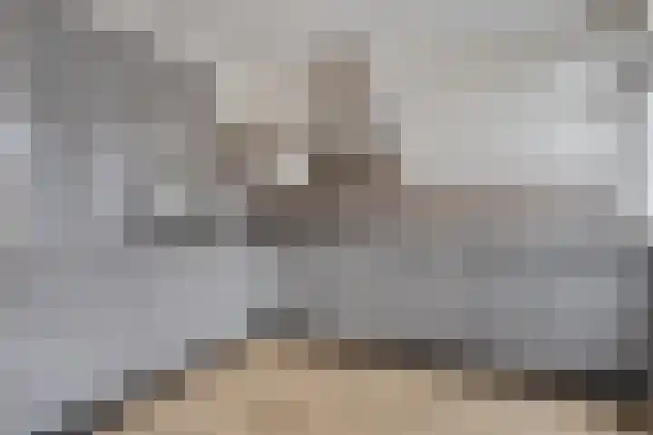 Jan van Eyckstraat 2 Kaatsheuvel thumbnail 7