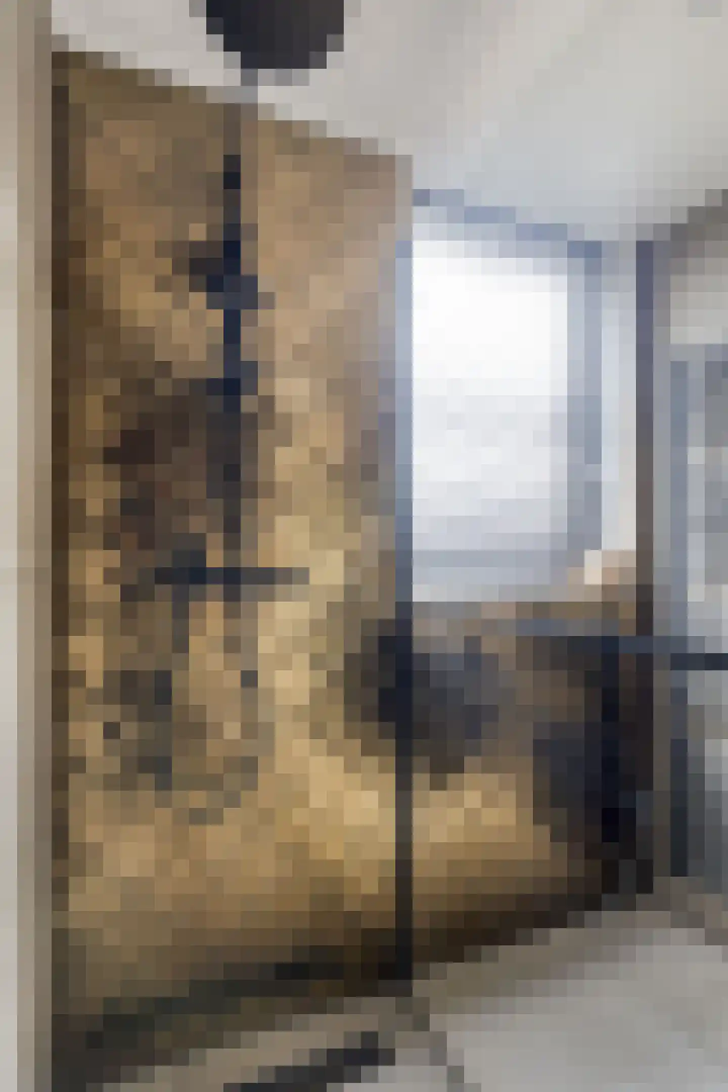 Jan van Eyckstraat 29 Axel thumbnail 32