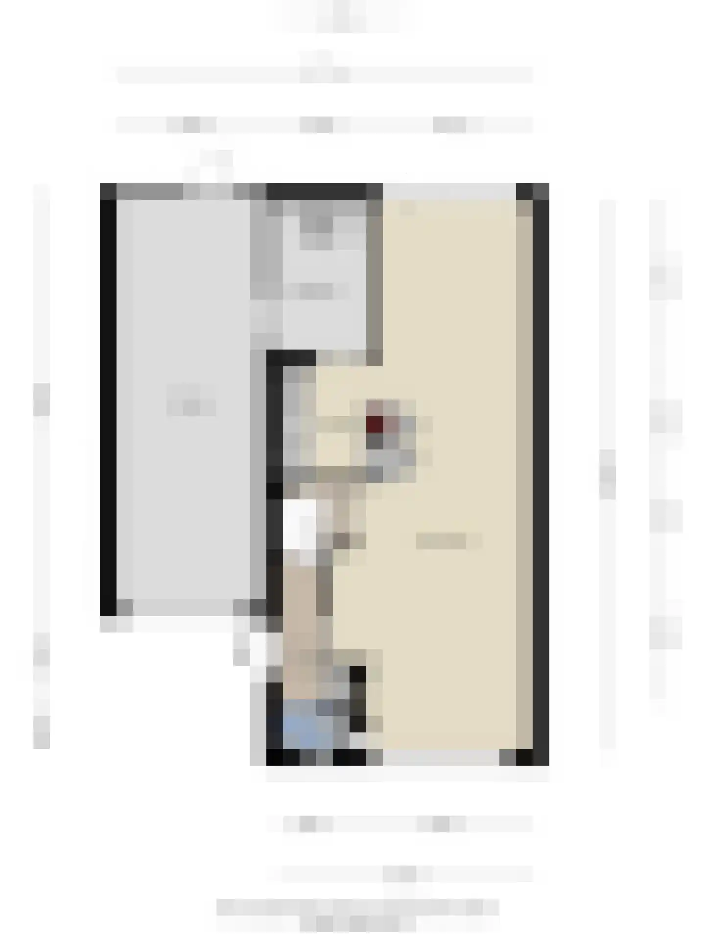 Jan van Eyckstraat 29 Axel thumbnail 47