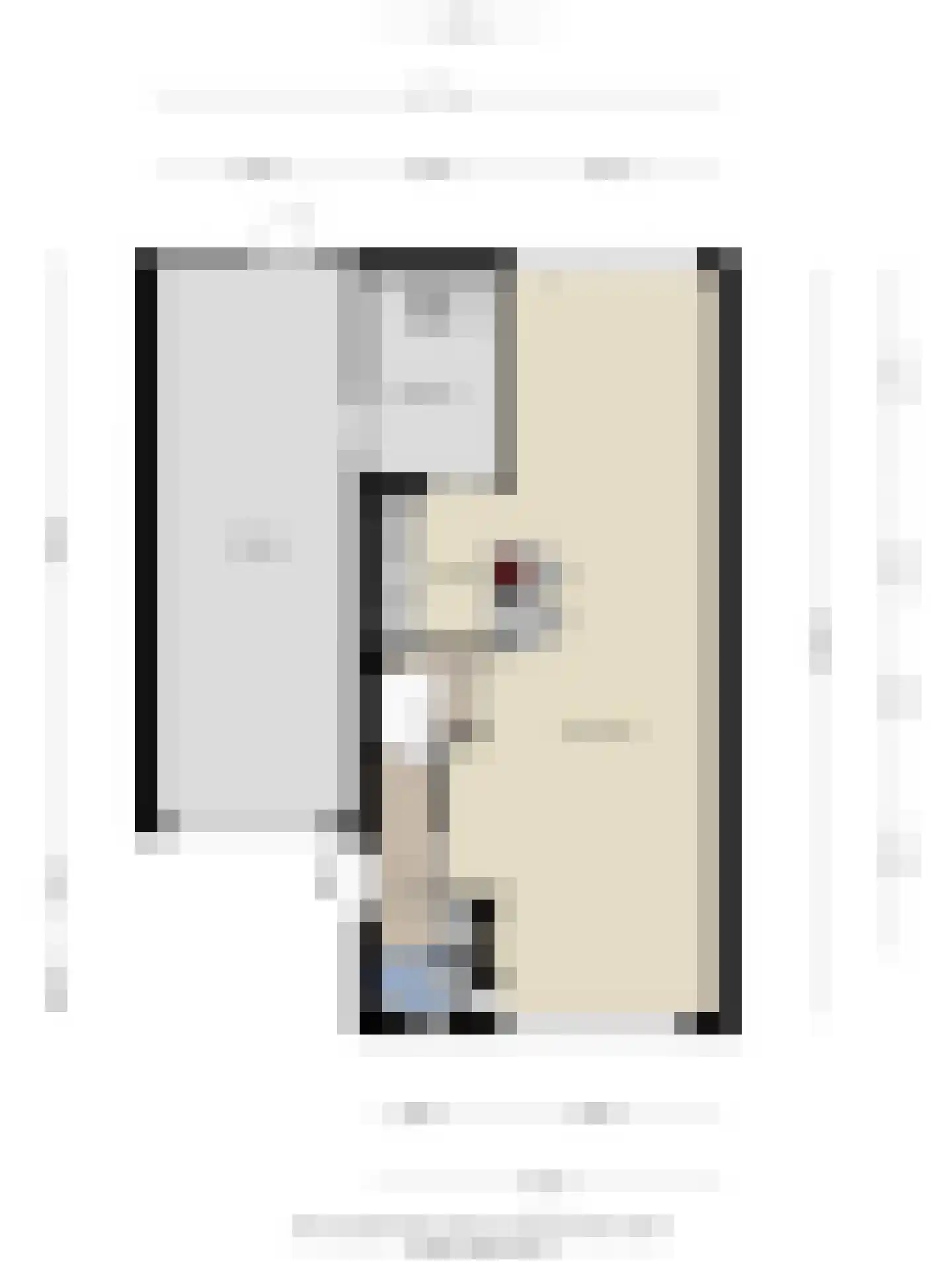 Jan van Eyckstraat 29 Axel thumbnail 50