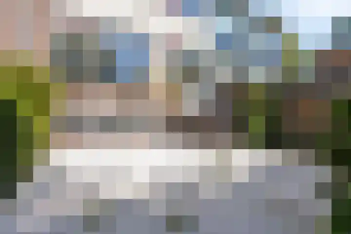 Jan van Eyckstraat 31 Alkmaar thumbnail 33