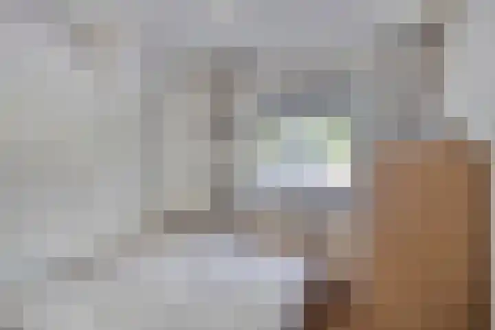 Jan van Eyckstraat 32 Alkmaar thumbnail 21