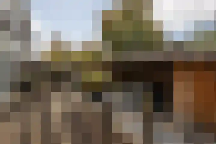 Jan van Eyckstraat 35 Alkmaar thumbnail 15