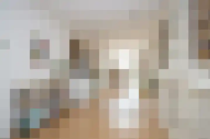 Jan van Eyckstraat 43 Axel thumbnail 7