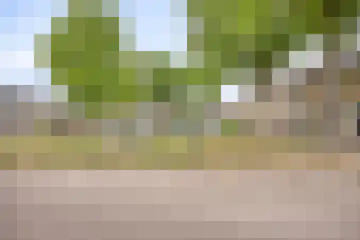Jan van Eyckstraat 9 Kaatsheuvel thumbnail 30