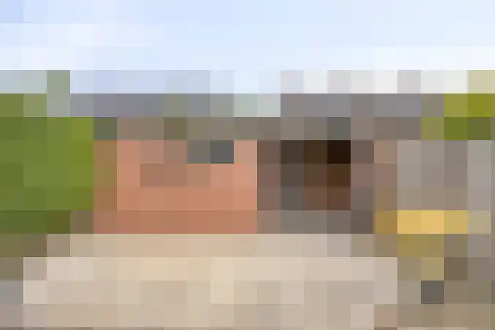Jan van Eyckstraat 9 Kaatsheuvel thumbnail 32