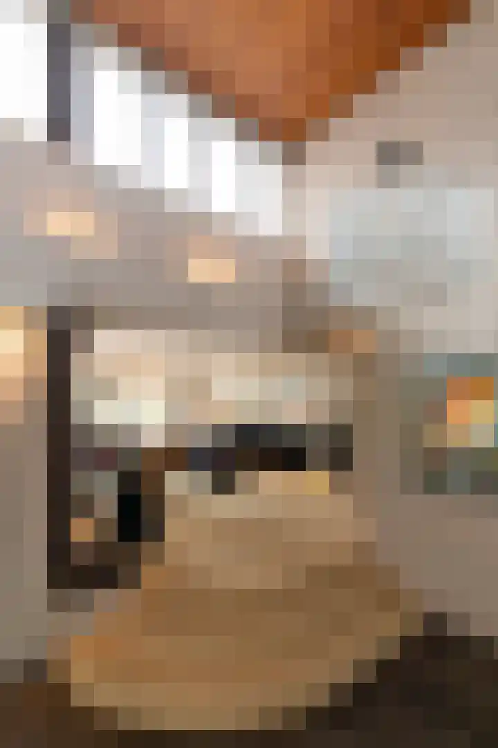 Jan van Galenlaan 1 Nijverdal thumbnail 16