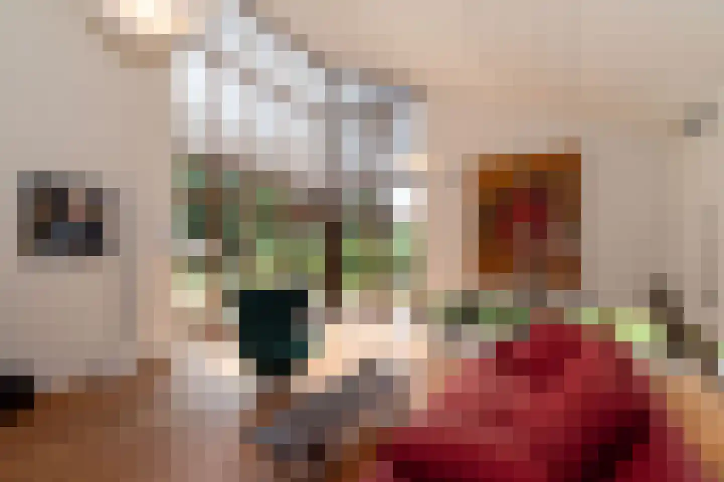 Jan van Galenlaan 1 Nijverdal thumbnail 25