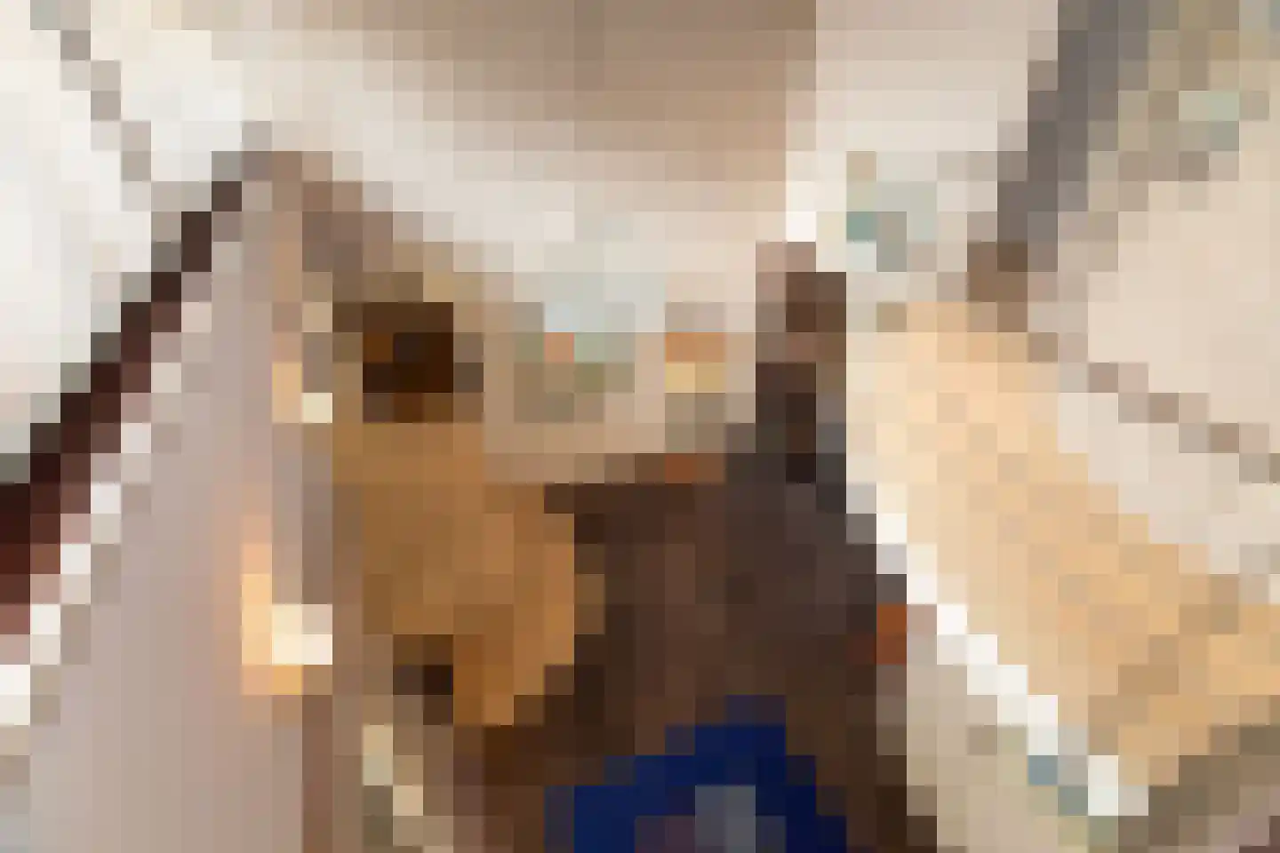 Jan van Galenlaan 1 Nijverdal thumbnail 27
