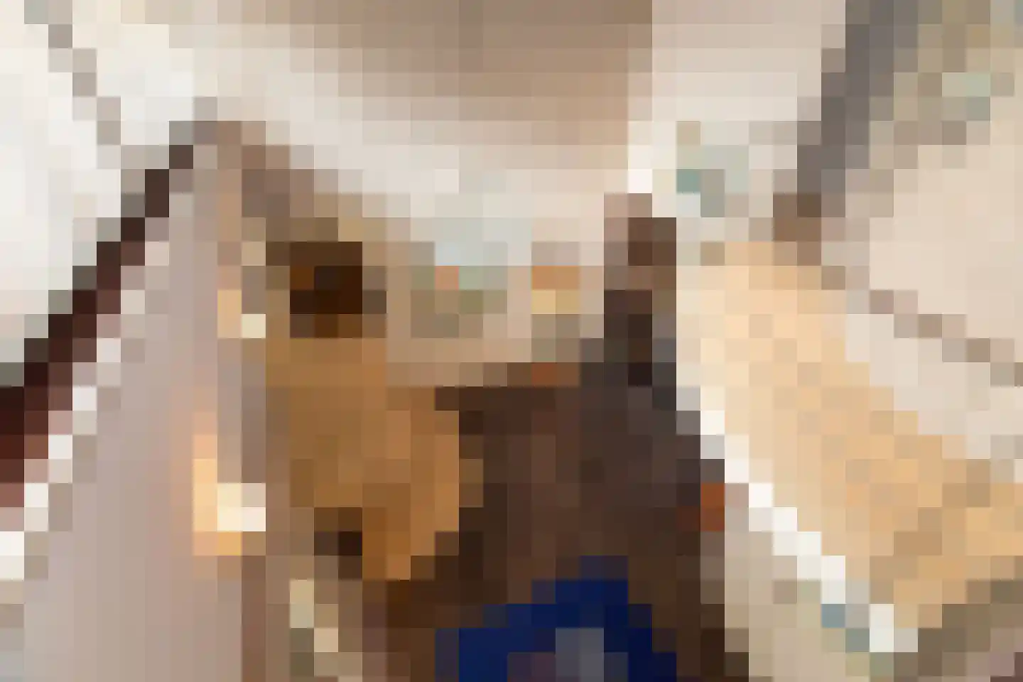 Jan van Galenlaan 1 Nijverdal thumbnail 27