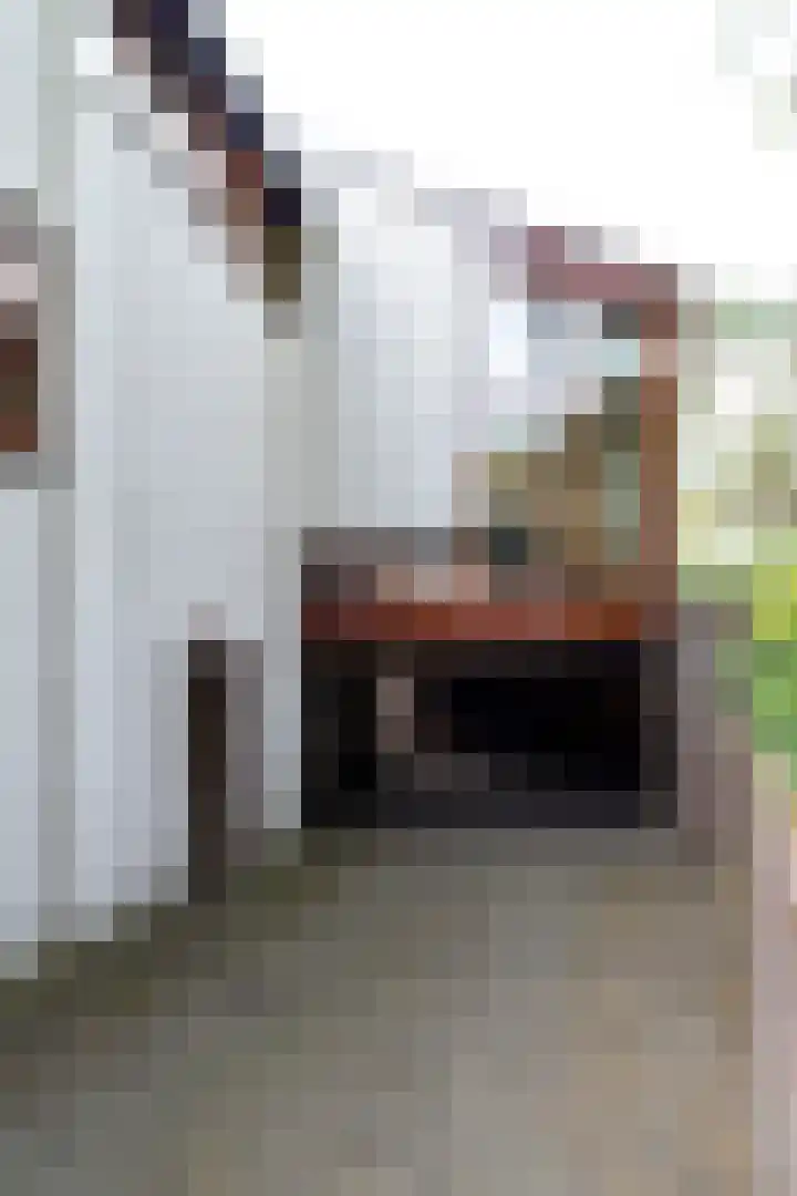 Jan van Galenlaan 1 Nijverdal thumbnail 34