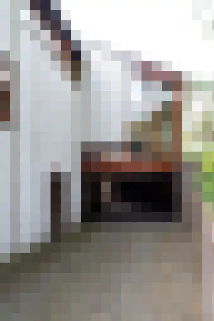Jan van Galenlaan 1 Nijverdal thumbnail 34