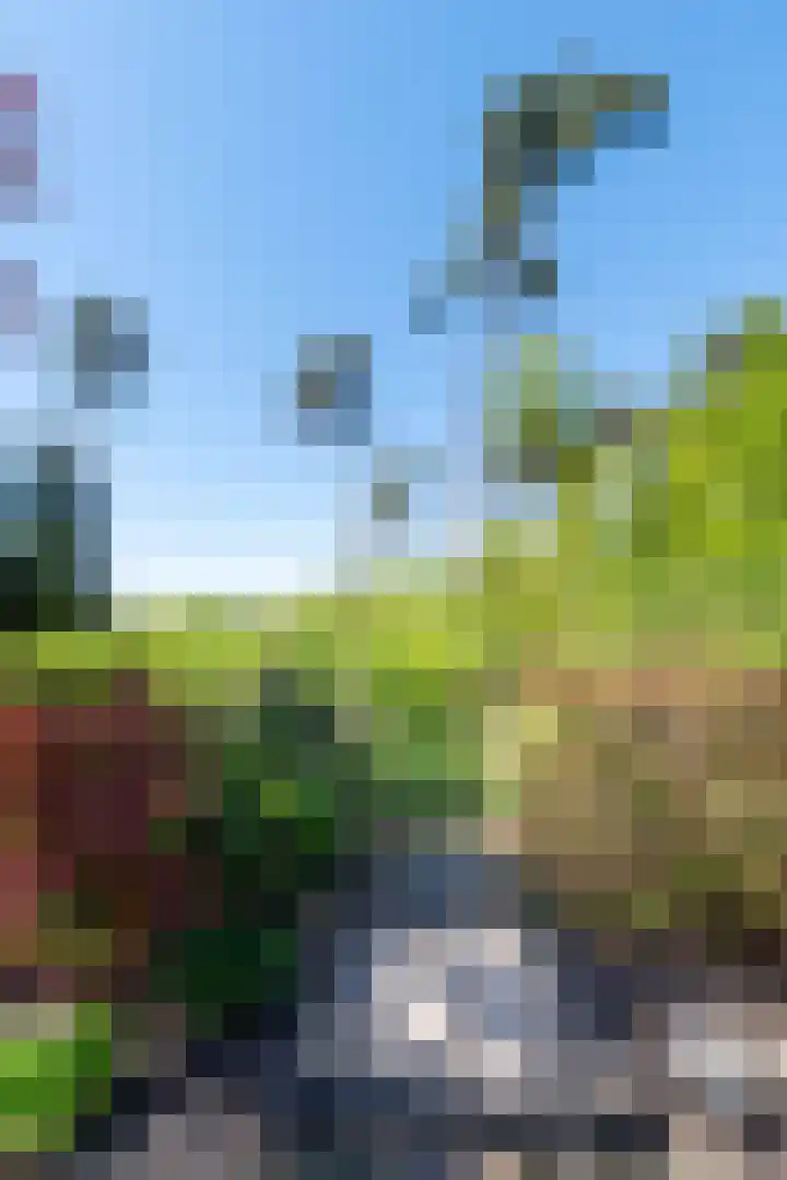 Jan van Galenlaan 1 Nijverdal thumbnail 9