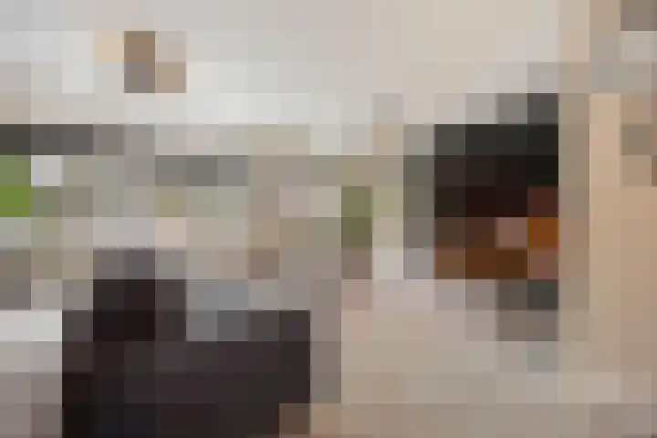 Jan van Galenlaan 10 Voorthuizen thumbnail 11