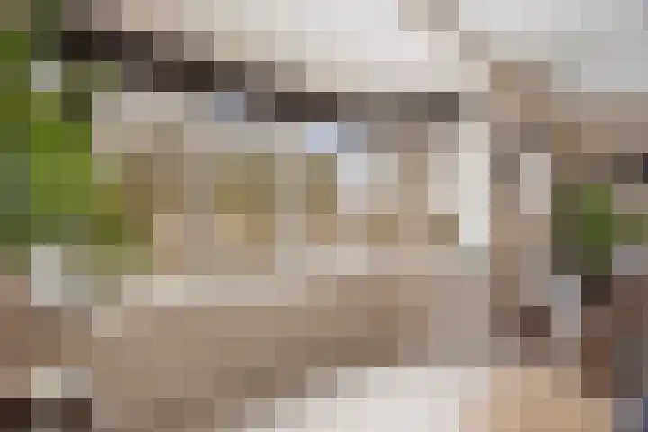 Jan van Galenlaan 10 Voorthuizen thumbnail 13