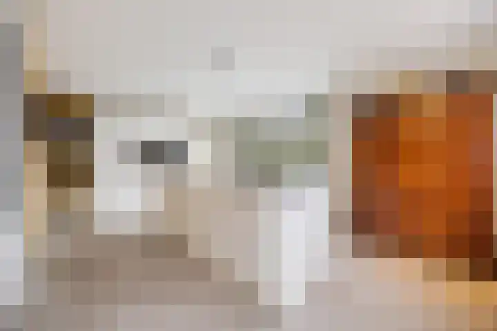 Jan van Galenlaan 10 Voorthuizen thumbnail 17