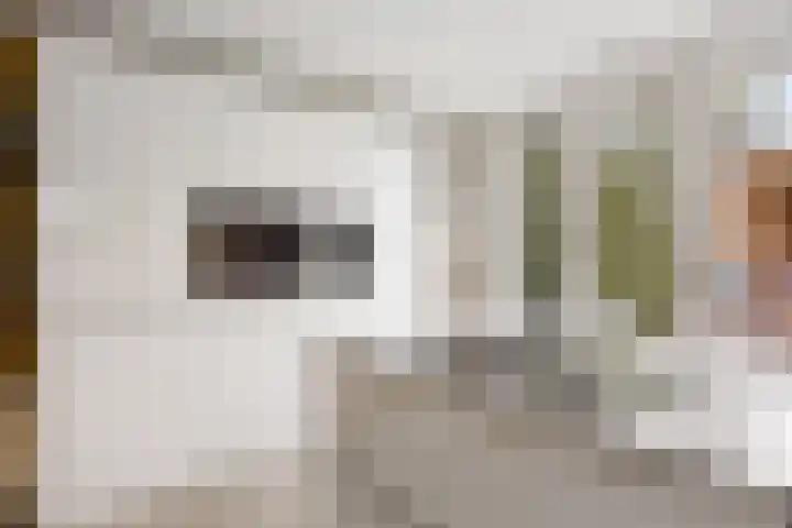 Jan van Galenlaan 10 Voorthuizen thumbnail 20