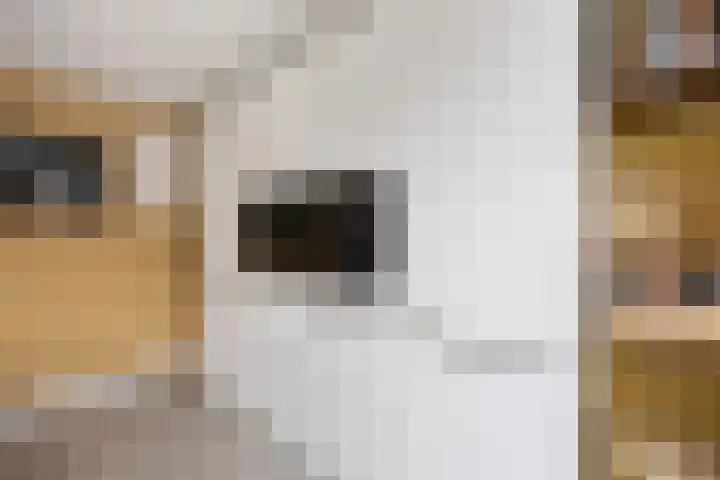 Jan van Galenlaan 10 Voorthuizen thumbnail 21