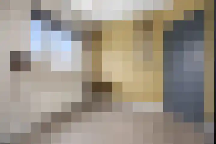 Jan van Galenlaan 10 Voorthuizen thumbnail 28