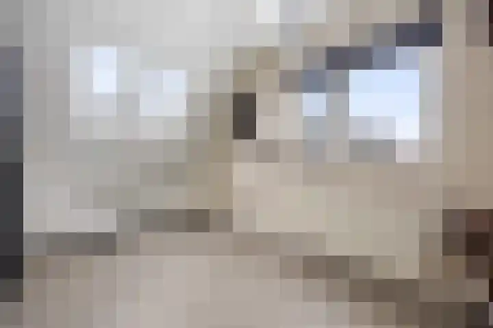 Jan van Galenlaan 10 Voorthuizen thumbnail 29
