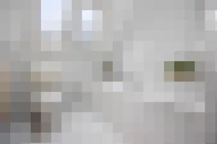 Jan van Galenlaan 10 Voorthuizen thumbnail 35