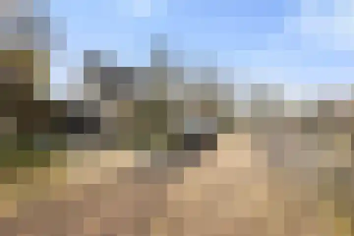 Jan van Galenlaan 10 Voorthuizen thumbnail 4