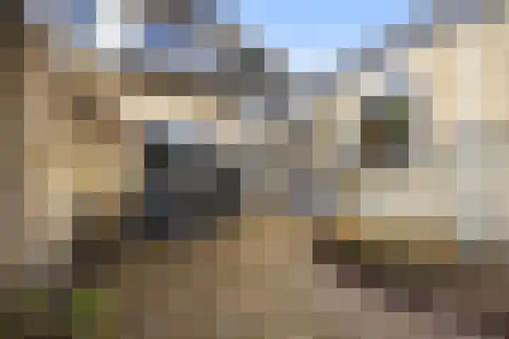 Jan van Galenlaan 10 Voorthuizen thumbnail 41