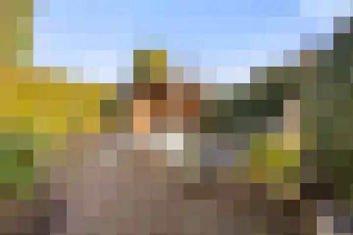 Jan van Galenlaan 10 Voorthuizen thumbnail 42