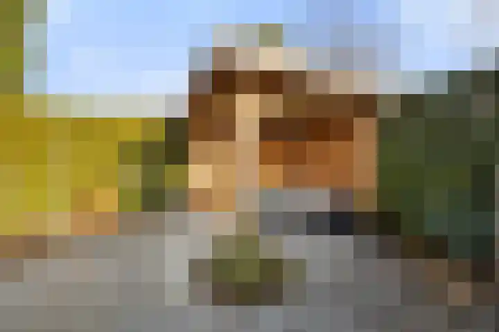 Jan van Galenlaan 10 Voorthuizen thumbnail 45