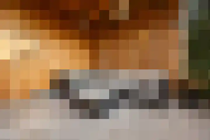 Jan van Galenlaan 10 Voorthuizen thumbnail 46