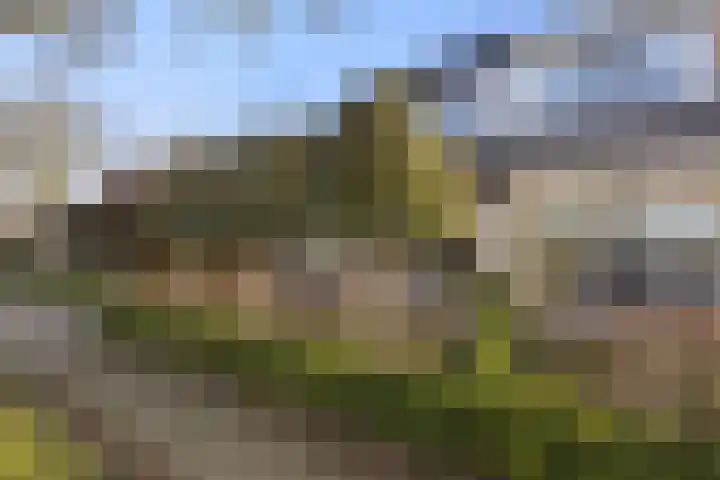 Jan van Galenlaan 10 Voorthuizen thumbnail 47