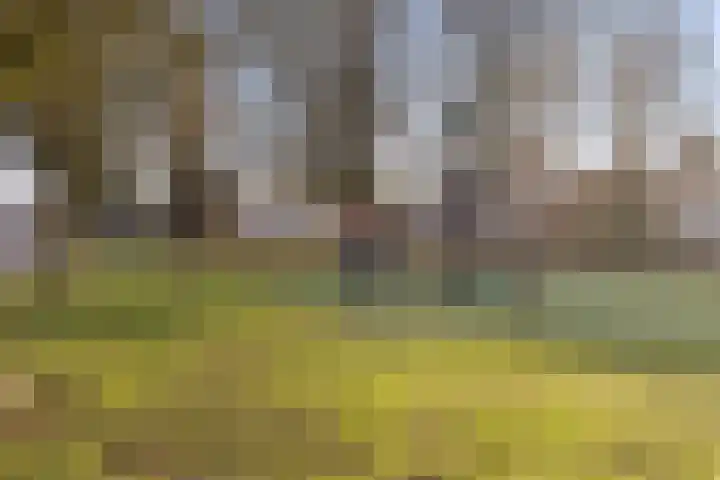 Jan van Galenlaan 10 Voorthuizen thumbnail 48