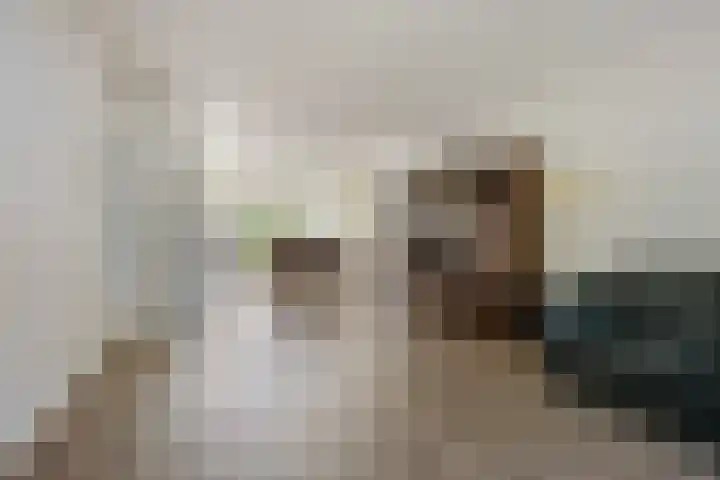 Jan van Galenlaan 13 Voorthuizen thumbnail 11