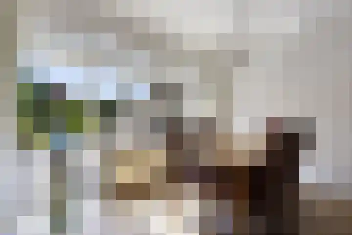 Jan van Galenlaan 13 Voorthuizen thumbnail 12