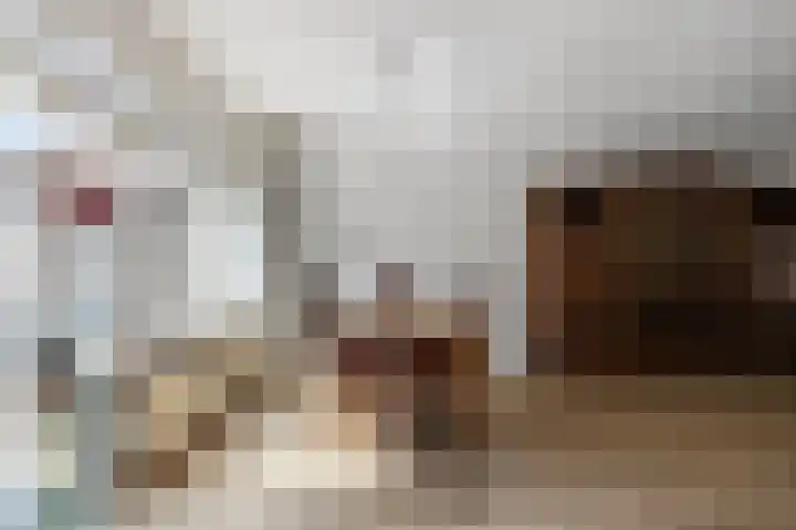 Jan van Galenlaan 13 Voorthuizen thumbnail 13