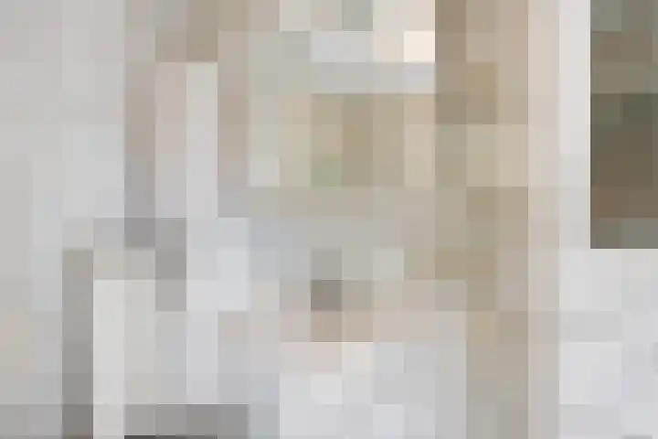 Jan van Galenlaan 13 Voorthuizen thumbnail 24