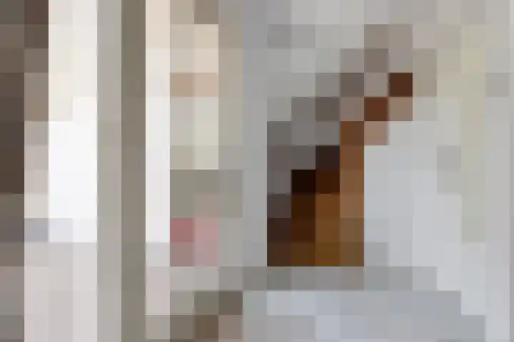 Jan van Galenlaan 13 Voorthuizen thumbnail 25