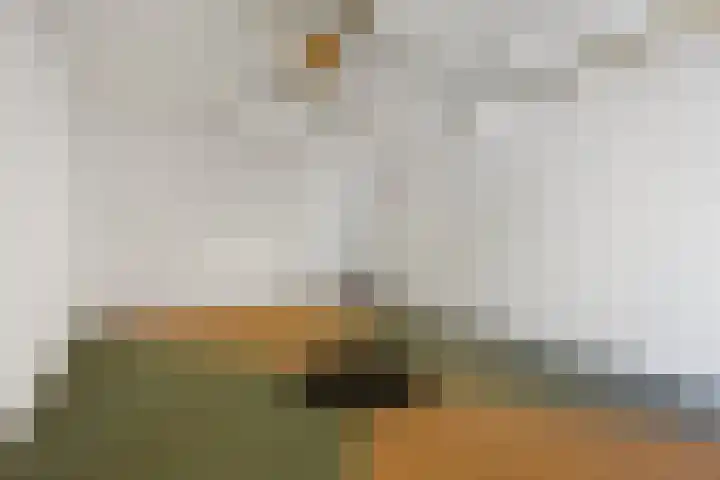 Jan van Galenlaan 13 Voorthuizen thumbnail 31